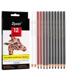 Dyvicl Charcoal Pencils Drawing Set - 12 Pieces for Drawing, Sketching, Shading, Blending - Ideal for Beginners and Artists - Buy Online on SooperMarket.com
