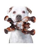 Zinbo Dog Toys for Aggressive Chewers Indestructible Dog Toys Tough Dog Toys for Aggressive Chewers Medium/Large Breed Strong Dog Toys for Tough Chewers (Dark Brown) - Buy Online on SooperMarket.com