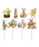 awakentti 8PCS Peter Rabbit Cupcake Decoration Room Ornaments Cake Picks with Clear Printing Easter Cupcake Toppers for Photo Wall Photo Booth Background Candy Box - Buy Online on SooperMarket.com