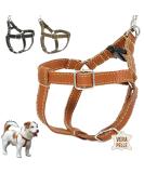 Dogissimi Handmade Leather Dog Harness for Small & Medium Dogs - Adjustable Ergonomic Italian Craftsmanship (Size L Chest 52-69 cm) - Buy Online on SooperMarket.com