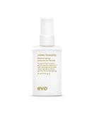 EVO Mister Fantastic Blowout Spray - Improves Style  Builds Body & Reduces Blow-Drying Time - Heat Protection Styling Spray 1.7 Fl Oz (Pack of 1) - Buy Online on SooperMarket.com