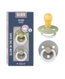 BIBS Color Glow Schnuller 2-pack BPA-free.Lights up in the dark cherry shape nipple.Natural rubber/latex made in Denmark.18+ months (2 pack) Sage Night/Cloud Night size 3 |18+ months |2-pack Sage Night / Cloud Night - Buy Online on SooperMarket.com