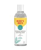 Burt s Bees Foaming Face Wash  BHA Breakout Defense Cleanser for All Skin Types  Washes Away Impurities & Excess Facial Oil  With a Prebiotic  8 Oz. - Buy Online on SooperMarket.com