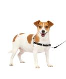 PetSafe Easy Walk Harness - Anti-Pull Dog Harness for Small Dogs Reduces Choking & Coughing Includes 1.8M Leash - Black - Buy Online on SooperMarket.com