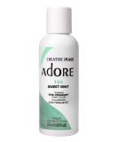 Adore Shining Semi Permanent Hair Colour 194 Sweet Mint 194 Sweet Mint 118 ml (Pack of 1) - Buy Online on SooperMarket.com