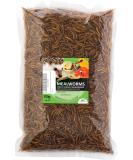 UGF Premium Dried Mealworms 250g | Insect Snacks for Birds Hamsters Hedgehogs Rodents Lizards & Turtles - No Preservatives or Dyes - Buy Online on SooperMarket.com