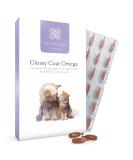 Healthspan Glossy Coat Omega 3 6 & 9 for Cats & Dogs 120 Capsules | DHA & EPA | Chicken & Beef Flavour | Pet Health Supplement - Buy Online on SooperMarket.com