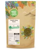 Organic Mung Beans 2kg - GMO Free, Vegan, High Fibre & Protein | Certified Organic | Wholefood Earth - Buy Online on SooperMarket.com