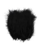 100pcs Black Feathers for Crafts & Dreamcatcher Making - DIY Fringe Trim & Colored Material - Buy Online on SooperMarket.com