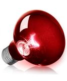 Neptonion 100W Infrared Heat Lamp for Reptiles | UVA Basking Spot Lamp for Snakes Chameleons Geckos & More - Buy Online on SooperMarket.com