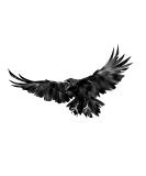 Dopetattoo 6 sheets Temporary Tattoos Raven Tattoos Crow Fake tattoos for Men Women Neck Arm Chest - Buy Online on SooperMarket.com