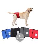 Shop Financial Trousers 2.0 - High-Quality Neoprene Dog Diapers for Males - Optimal Airflow No Annoying Threading (L - Red) - Buy Online on SooperMarket.com