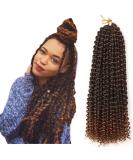Passion twist hair 7 packs 18-inch water shaft hair for long Bohemian hair lichen from hair yddm passion twist crochet hairenhetic hair extensions (T1b-30# 7pack-18inch) T1b-30inch (7 Pack) - Buy Online on SooperMarket.com