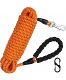 Orange 30M Nylon Reflective Dog Training Lead with Comfortable Handle - Ideal for Recall Training, Hiking, Camping, Walking - 100FT Long Line - Buy Online on SooperMarket.com