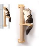 FUKUMARU Cat Activity Tree w/ Scratching Posts & Wall Mounted Jute Scratcher Pine Hammock - Buy Online on SooperMarket.com