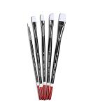 Angelus Paint Brush Set Round Flat Angular Artist Acrylic Paint Brush Set Shoe paint Brush set (5 pcs) - Buy Online on SooperMarket.com