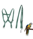 Ruqias Pet Bird Harness Leash for Macaw Cockatoos with Buckle Adorable Rainbow Design Safe Parrot Leash Pet Harness Outdoor Adjustable Anti Bite Training Rope for Macaw Large Size Bird L Green - Buy Online on SooperMarket.com