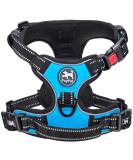 POPOT No pull dog harness front reflective pet vest for dogs with simple control handle and back perfect for daily training walking running (blue s) s blue - Buy Online on SooperMarket.com