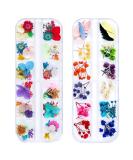 Dried Flowers for Resin Nail Art - 108 Pcs in 62 Colors - 3D Dry Flowers for Nails - Real Natural Flower Nail Art Decoration Supplies - Buy Online on SooperMarket.com