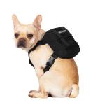 OneTigris Eureka Dog Backpack for Small Dogs - Lightweight Black XS with Poop Bag Dispenser | Ideal for Daily Hiking - International Shipping Available - Buy Online on SooperMarket.com