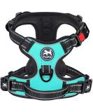 POPOT No pull dog harness front reflective pet vest for dogs with simple control handle and back perfect for daily training walking running (mint blue l) l mint blue - Buy Online on SooperMarket.com