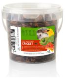 UGF - dried grille 500ml bucket grilling insects bird feed wild birds all year round turtles feed hedgehog feed lizard lining fish feed - Buy Online on SooperMarket.com