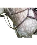 Shires Salisbury Five Point Breastplate Havana Extra Full - Buy Online on SooperMarket.com