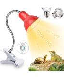 Shengruili Turtle Heat Lamp | 25W & 50W Reptile Lamp for Terrariums - Perfect Heat Solution for Turtles - Buy Online on SooperMarket.com