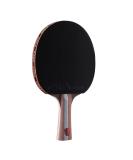 JOOLA Infinity Balance - Advanced Performance Ping Pong Paddle - Competition Ready - Table Tennis Racket for High-Level Training - Designed to Optimize Spin and Control - Buy Online on SooperMarket.com