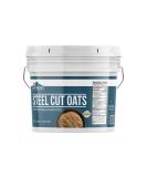 Steel Cut Oats, 1 Gallon Bucket by Earthborn Elements, Also Called Irish Oatmeal, Breakfast, Resealable Bucket 6 Pound (Pack of 1) - Buy Online on SooperMarket.com
