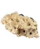 Buy Tunze Coral Rack Long (1 Piece) 0104.820 - Premium Coral Frag Rack for Aquariums | International Shipping Available - Buy Online on SooperMarket.com