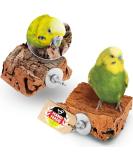 Vogelgaleria 2 x cork picking stones. The delicious alternative to limestone or cuttlefish shell budgie accessories 2 cork picking stones - Buy Online on SooperMarket.com