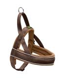 HUNTER RACING Norwegian Harness - Size ML (60-75 cm) in Brown/Cognac | Premium Quality eCommerce Shipping Worldwide - Buy Online on SooperMarket.com