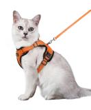 Rabbitgoo Cat Dishes & Adjustable Breakage-Proof Cat Harness Set - Orange M (1 Pack) for International Shipping - Buy Online on SooperMarket.com