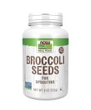 Now Foods Real Food Broccoli Seeds 4 oz (113 g) - Buy Online on SooperMarket.com