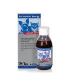 Alfavet Reconvales Energy in the convalescence with underweight and in the case of hepatic lipidosis of the cat High -caloric glass bottle 180ml single - Buy Online on SooperMarket.com