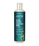 JASON NATURAL COSMETICS Tea Tree Oil Therapy Shampoo 540 ML - Best Natural Shampoo for Healthy Hair | International Shipping Available - Buy Online on SooperMarket.com