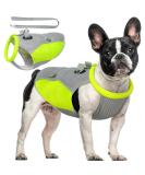 Hjyokuso Cool Vest for Dogs | Summer Cooling Jacket for Small Medium & Large Dogs | Ideal for Outdoor Activities & Training - Buy Online on SooperMarket.com