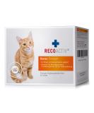 Recoactive kidney tonic for cats in the event of signs of kidney function disorder in convalescence and for prophylaxis.High quality protein appetite stimulating supplementary feed 3 x 90 ml 3 x 90ml - Buy Online on SooperMarket.com