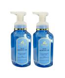 Bath & Body Works Crisp Morning Air Gentle Foaming Hand Soap Set of 2 Crisp 8.25 Fl Oz (Pack of 2) - Buy Online on SooperMarket.com