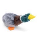 Petface Honking and Squeaky Duck Plush Dog Toy - Buy Online on SooperMarket.com