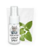 Kater Kasimir catnip spray for scratching post 100% natural without additives Catnip Spray - Buy Online on SooperMarket.com
