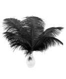 24pcs Natural Black Ostrich Feathers 10-12inch (25-30cm) for Wedding Party Centerpieces Flower Arrangement and Home Decoration. - Buy Online on SooperMarket.com