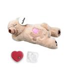 Pet Prime Snuggle Bear - Heartbeat Plush Toy for Cats and Dogs - Comfort Toy in Beige - Buy Online on SooperMarket.com
