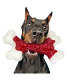 Tough Dog Toys, Dog Toys for Aggressive Chewers Large Breed, Kseroo Aggressive Chew Toys for Large Dogs, Dog Bone Chew Toy Nylon Durable Dog Toys for Large Dogs Dog Extreme Chew Toys Indestructible Beef B 1 Count (Pack of 1) - Buy Online on SooperMarket.com