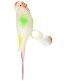 Rosewood Boredom Breaker Life Size Budgie Bird Toy Clear - Buy Online on SooperMarket.com