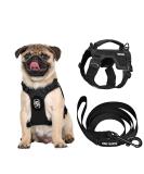 Oneigris Dog Harness & Leash Set | Mini Trooper Puppy Dishes for Extra Small to Medium Dogs - Black XS - Buy Online on SooperMarket.com