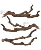 kathson Natural Parrot Perch Bird Stand Pole Wild Grape Stick Paw Grinding Fork Parakeet Climbing Standing Branches Toy Chewable Cage Accessories for Small Budgies Cockatiels Lovebirds 3PCS - Buy Online on SooperMarket.com