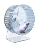 Hamster Wheel Silent Hamster Wheel Quiet Hamster Wheel Hamster Exercise Wheel Adjustable Stand Silent Hamster Wheel for Hamsters Gerbils Mice Small Animals ( 6.7 inch Transparent) 6.7 inch Transparent - Buy Online on SooperMarket.com