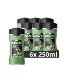 AX 3-in-1 shower gel & shampoo anti-hangover for long-lasting freshness and fragrance after the shower men shower gel dermatologically tested 6x 250 ml fruity 250 ml (6 Pack) - Buy Online on SooperMarket.com